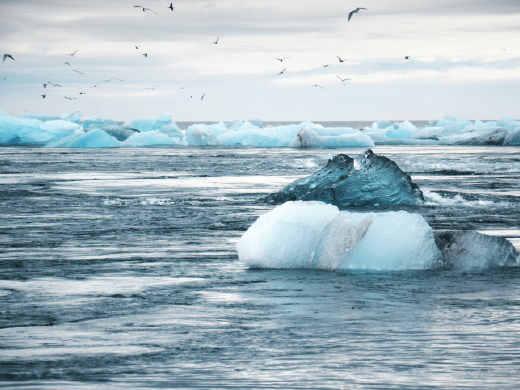 Disclosures_CDPClimate_4card_520x390