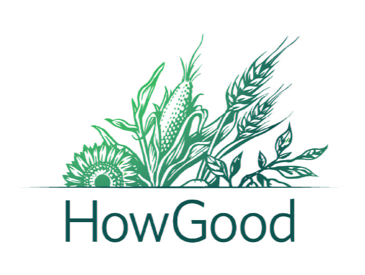 How Good Logo