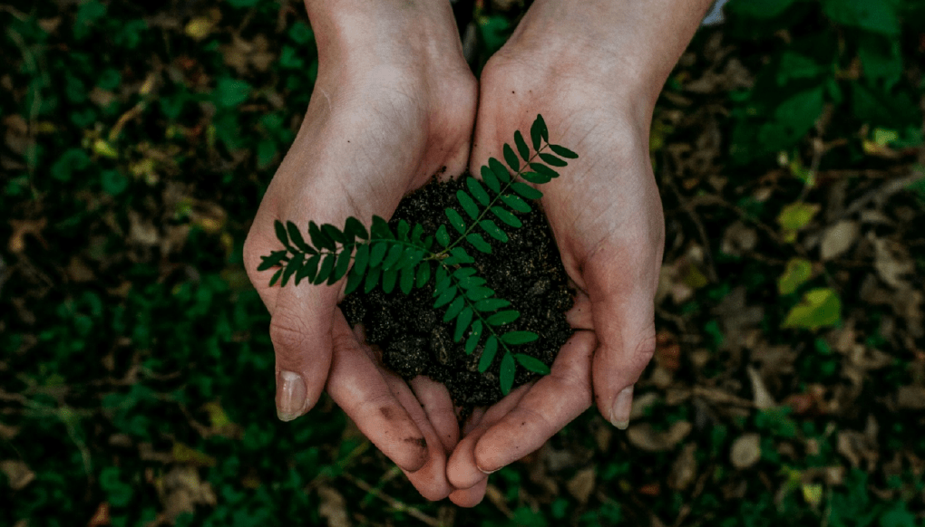 GovandApproach_ESGApproach_2-card_1020x582